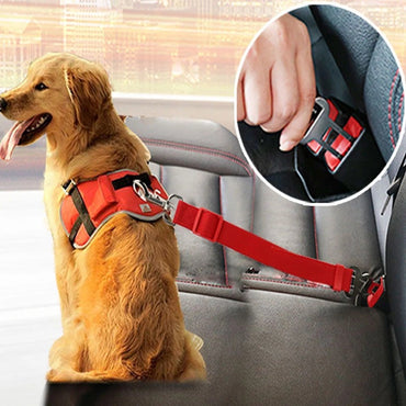 Telescopic Traction Rope For Pet Car Seat Belt - Rarecars